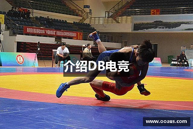 介绍DB电竞